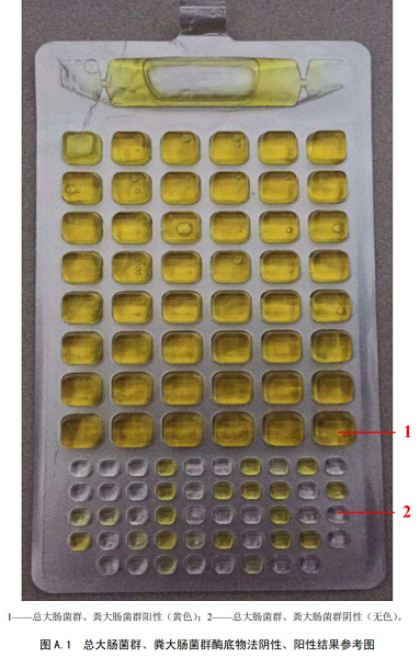 總大腸菌群、糞大腸菌群酶底物法陰性、陽性結(jié)果參考圖